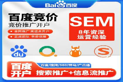 行业领先企业的sem竞价策略：成功案例剖析